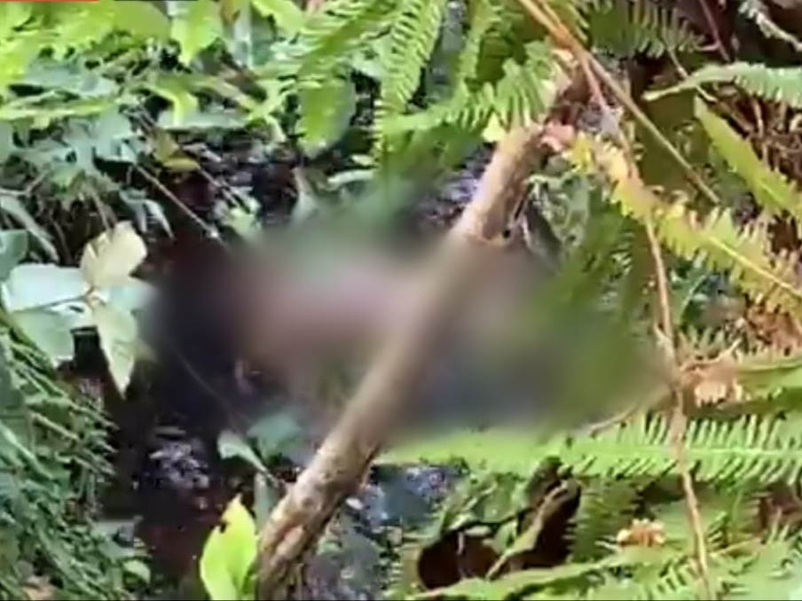 Corpo é encontrado boiando ‘nu’ na Praia da Ponta Negra; Imagens fortes