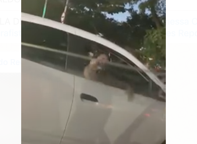 Barraco: “Pau pequeno” é assim que mulher chama motorista que parou o trânsito na Compensa, veja o vídeo