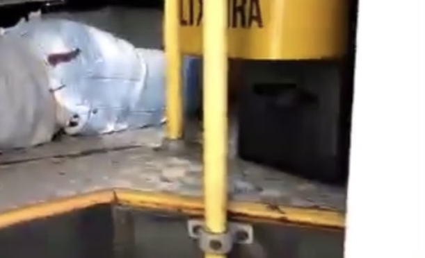 Assaltante de ônibus é crivado de bala por passageiro e agoniza até a morte durante arrastão; cenas fortes