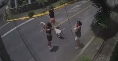 Veja como ficou mulher que foi brutalmente atacada pelo pit bull do vizinho