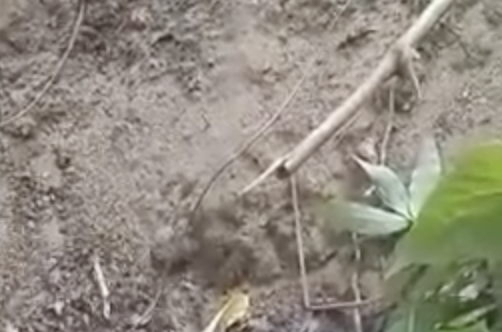 Antes de ser executado, traficante revela quais os bairros de Manaus dominados pela CDN; veja vídeo