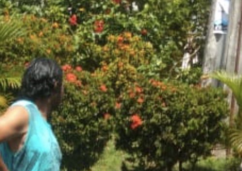 No Dia das Bruxas, morador de rua é perseguido por criminosos e o pior acontece, em Manaus; veja