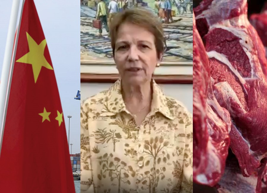Ministra Tereza Cristina diz que decisão da China é primeiro passo para derrubar veto à carne brasileira