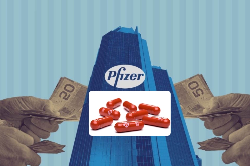 Cartela com pílulas da Pfizer contra Covid-19 custará em torno de U$530 nos EUA, quase 3 mil reais