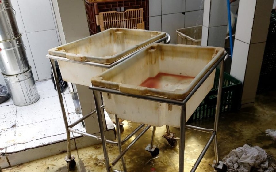 Abatedouro clandestino tinha 400 quilos de carne podre que seriam distribuídos aos mercados de Manaus