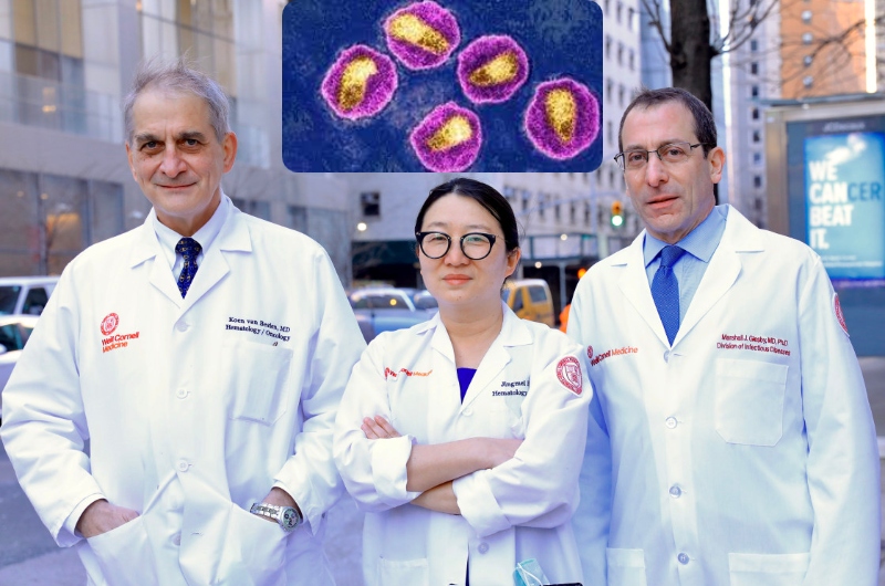 Esperança: cientistas ajudam mulher a ser curada do HIV após tratamento inovador