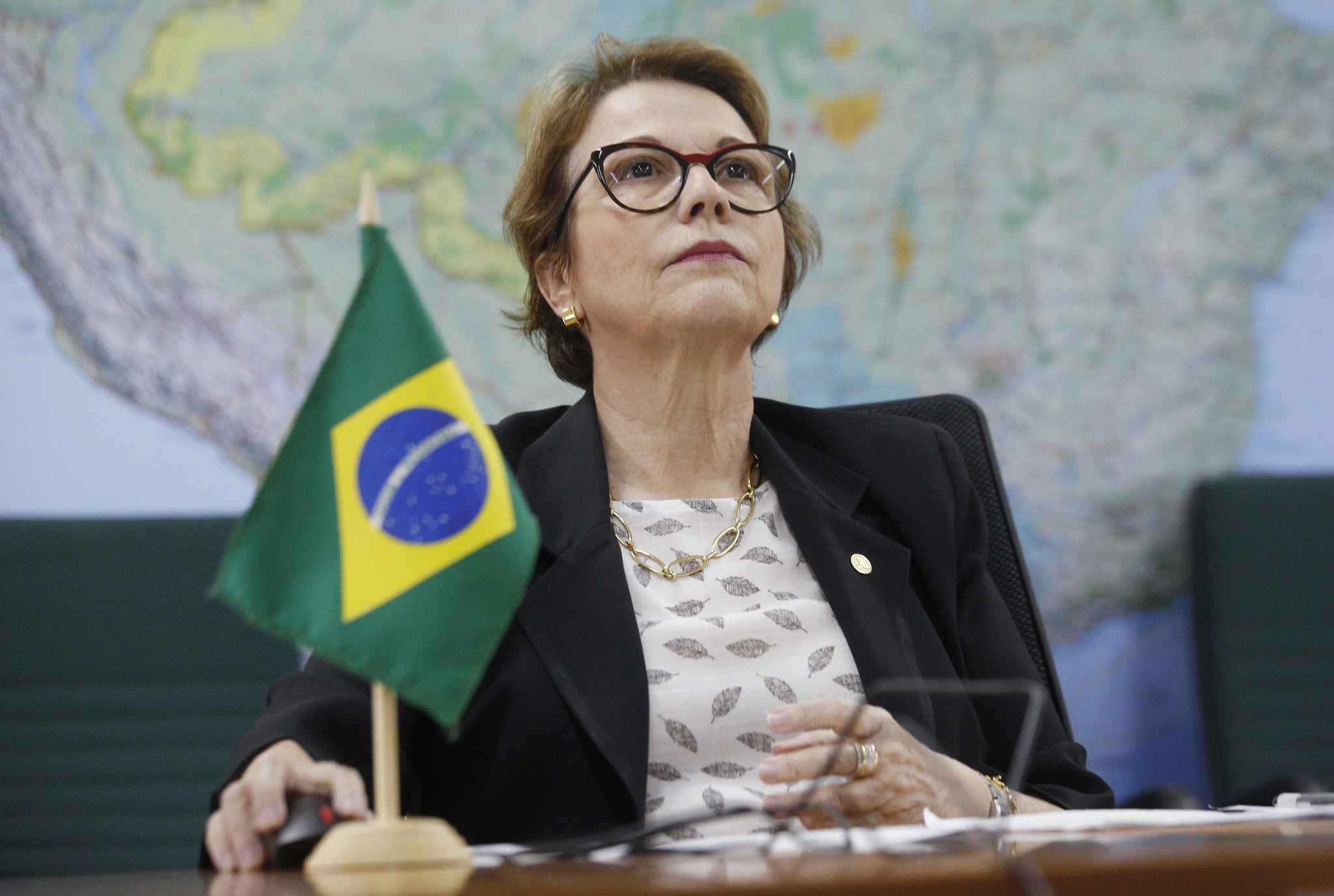 Ministra da Agricultura garante estoque de fertilizantes no Brasil até a próxima safra
