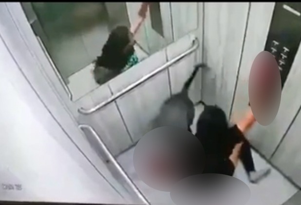 Pitbull ataca e arrasta jovem para fora de elevador; veja vídeo